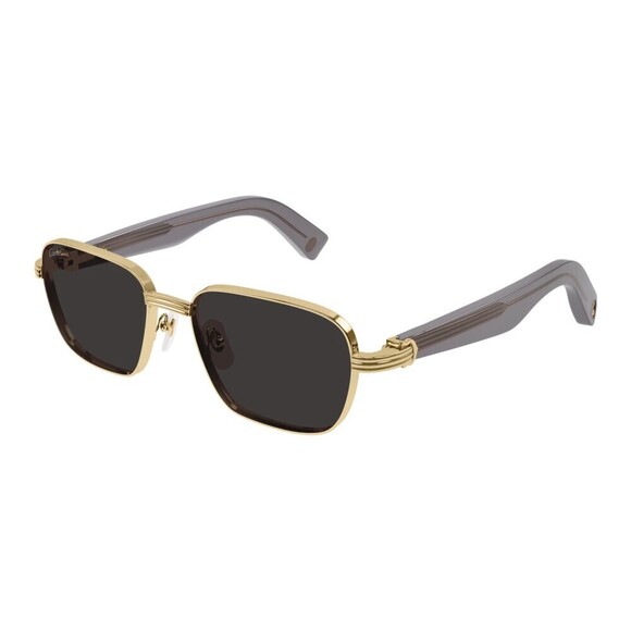 NWT Cartier CT0538S-006 Sunglasses